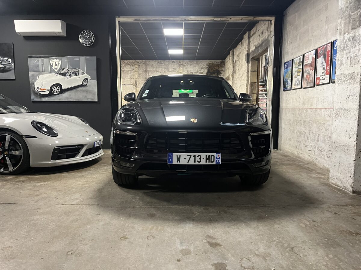 Macan de face