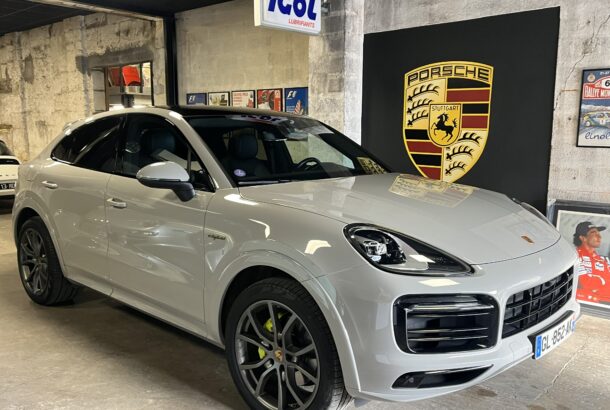 CAYENNE CRAIE HYBRIDE VUE SEMI PROFIL